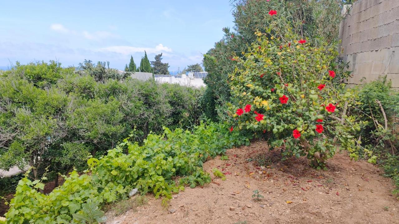 Stunning Villa With Pool, Table Tennis, Table Soccer And A Pool Table Naxxar Екстериор снимка