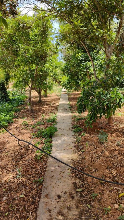 Stunning Villa With Pool, Table Tennis, Table Soccer And A Pool Table Naxxar Екстериор снимка