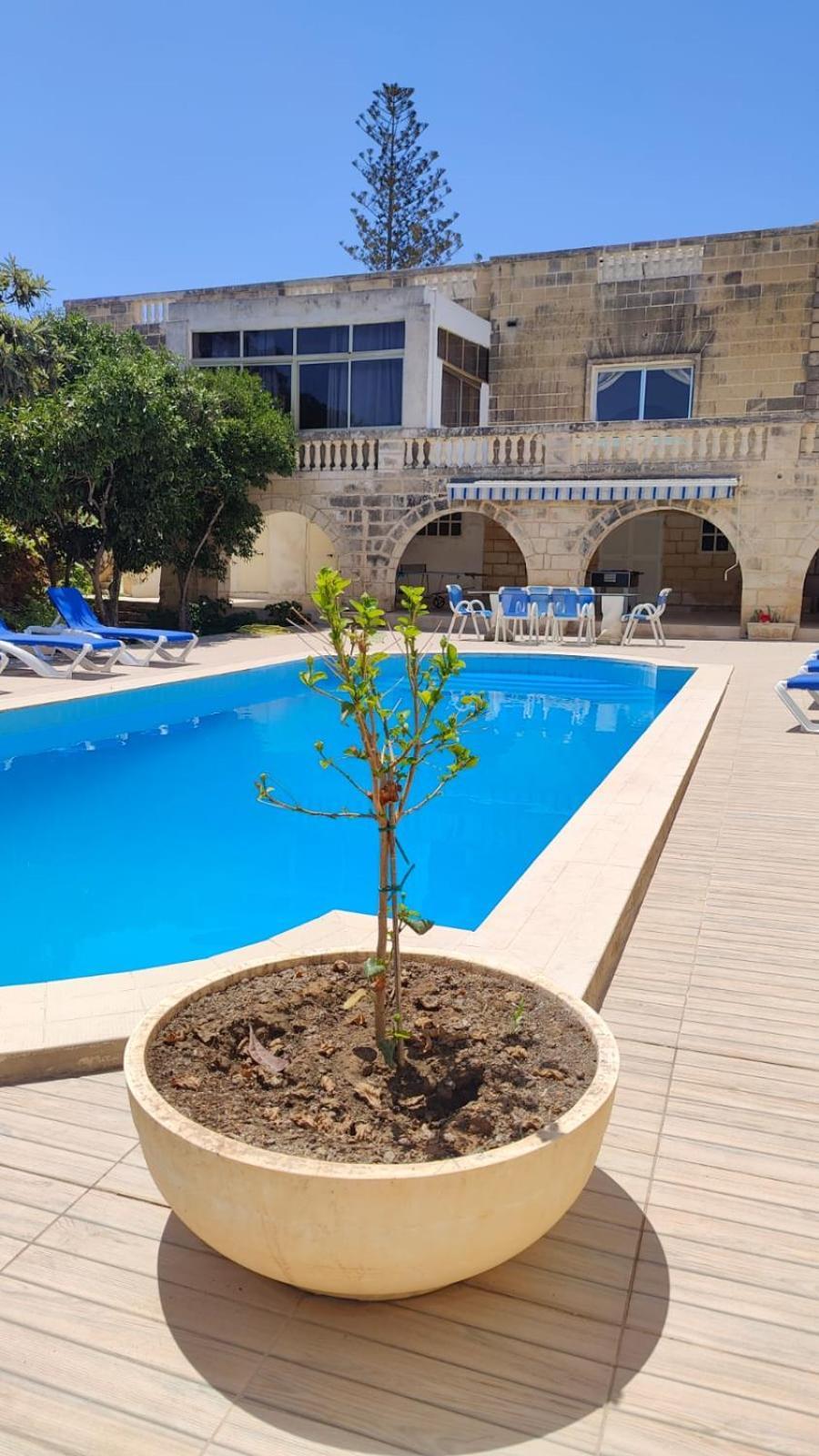 Stunning Villa With Pool, Table Tennis, Table Soccer And A Pool Table Naxxar Екстериор снимка
